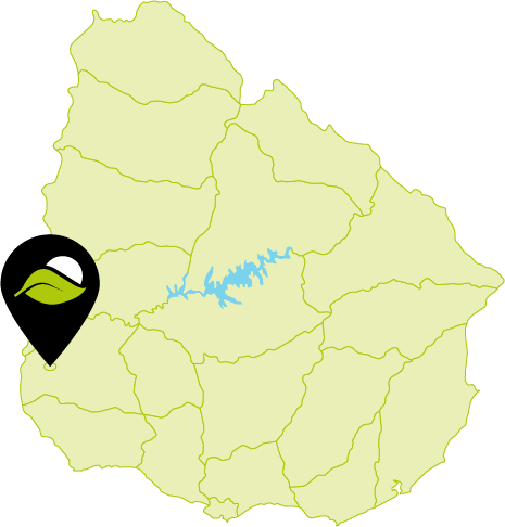 Ubicación en mapa